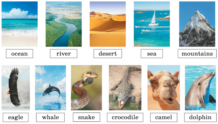 Задание рисунок 1