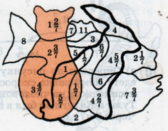 Задание рисунок 1