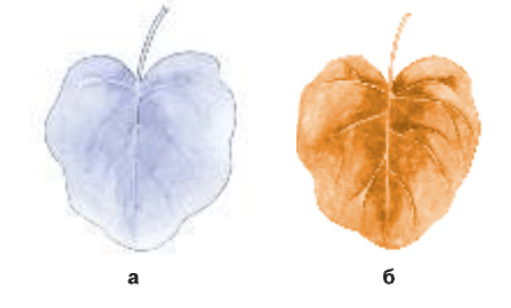 Задание рисунок 1