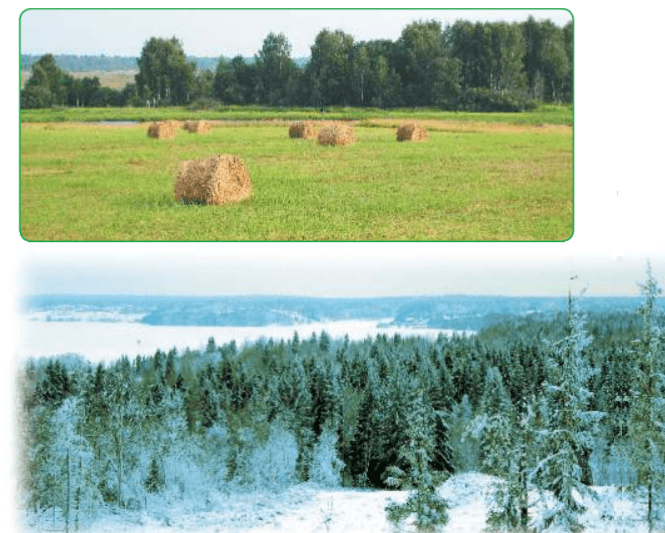 Задание рисунок 2