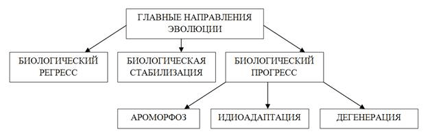 Решение рисунок 1
