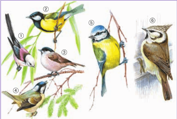 Задание рисунок 1