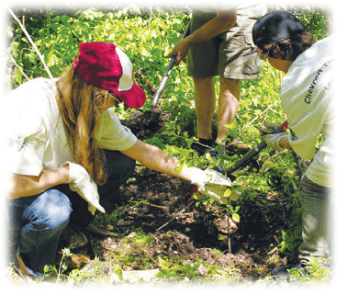 Задание рисунок 1